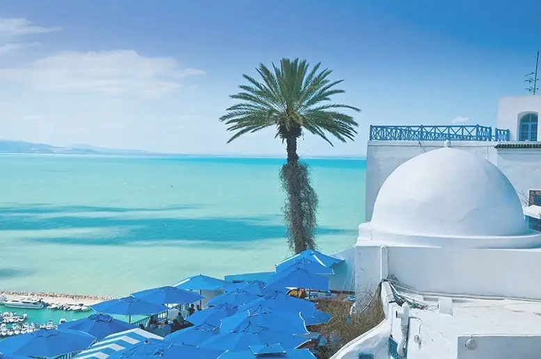 dialyse en tunisie